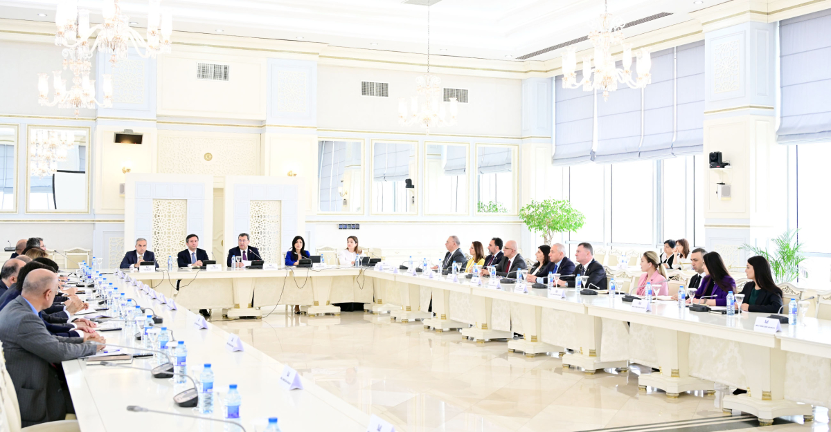 Parlamentdə Qlobal Cənubun yüksəlişi ilə bağlı müzakirələr aparılıb
